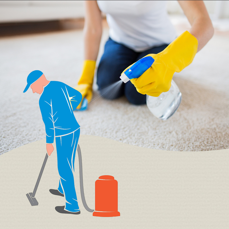 How to Get Pests Out of Carpet? | iCarpet Clean & Pest Control